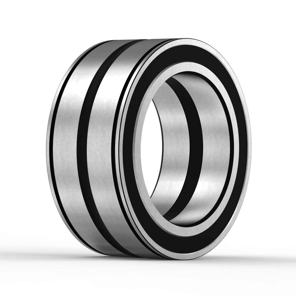 SL045019 PP INA - Zylinderrollenlager with white background