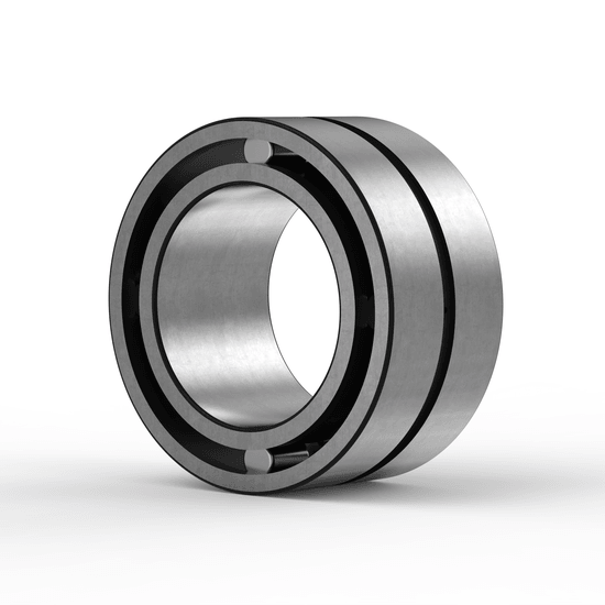 SL185009-C3 INA - Zylinderrollenlager with white background