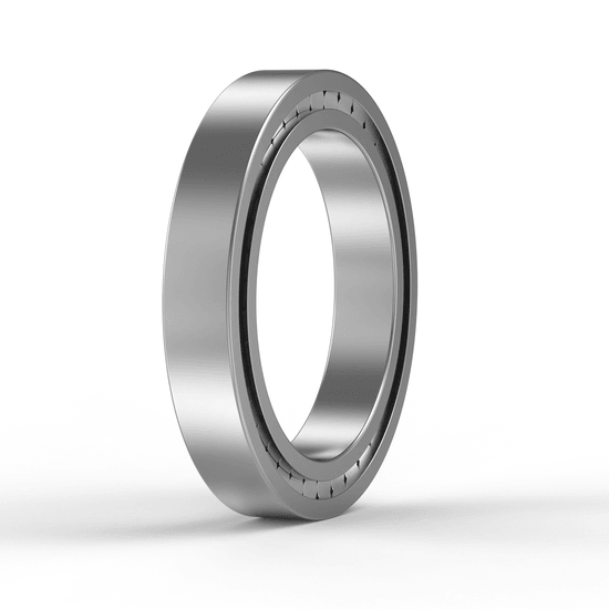 SL185022-C3 INA - Zylinderrollenlager with white background