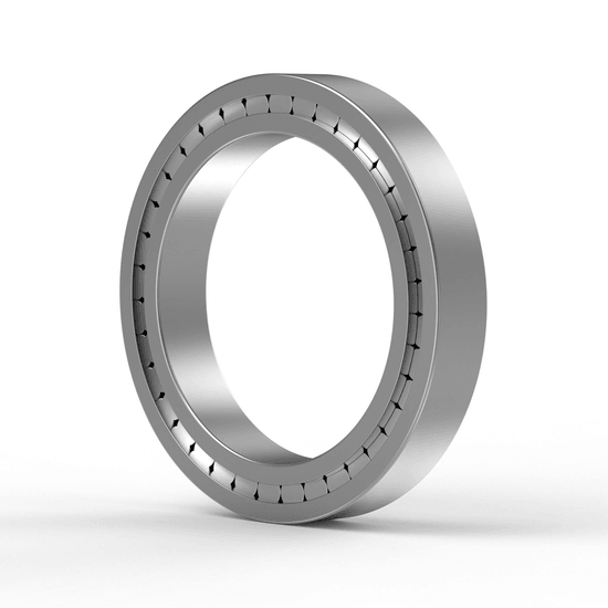 SL182210XL-C3 INA - Zylinderrollenlager with white background