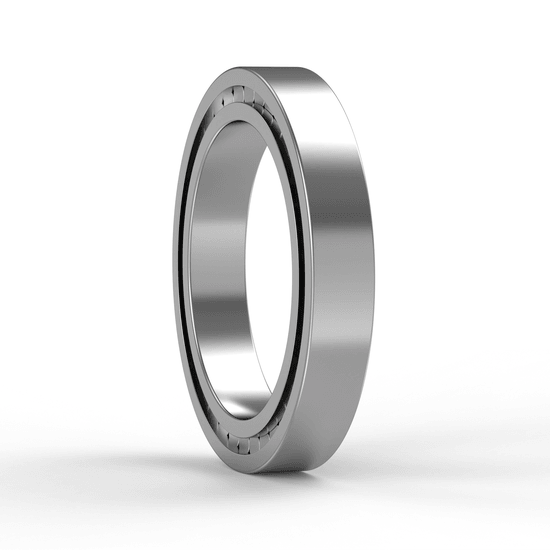 SL183020-C3 INA - Zylinderrollenlager with white background